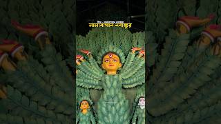 First EcoFriendly Durgapuja 2024  durgapuja kolkata youtubeshorts trending shorts durga [upl. by Elesig]