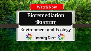 Bioremediation  जैव उपचार  Significance  Types  Advantages  Disadvantages  InSitu  ExSitu [upl. by Eirhtug]