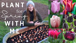 Top Tips to Plant Tulips spacing layering 🐿 protection amp more🌷Plant Spring bulbs with me [upl. by Etnoj]