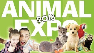 ANIMAL EXPO 2018  Des chiens des chats des oiseaux des lapins à adopter  Animaux Choupinou [upl. by Ilehs]