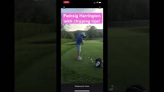 Padraig Harrington with some chipping tips golf padraigharrington livgolf [upl. by Fishbein]