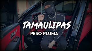 PESO PLUMA ❌ TAMAULIPAS 💀 INEDITO CORRIDOS2023 [upl. by Nomar100]