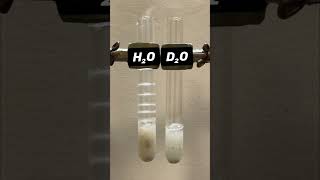 Calcium Carbide reacts with water intrestingstarprimesciencefactsshorts [upl. by Alda]