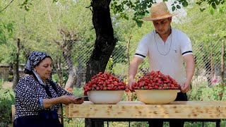 Tarladan çiyələk yığıb mürəbbə hazırladıq [upl. by Aretta]