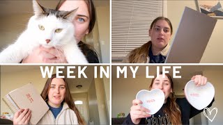 Weekly Vlog  galentines day target haul and how I stay productive [upl. by Sabra750]