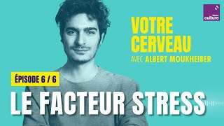 Votre cerveau perd les pédales  le facteur stress avec Albert Moukheiber 66  saison 1 [upl. by Cannice]