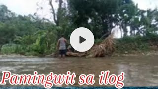 Pamingwit sa ilog [upl. by Leivad]