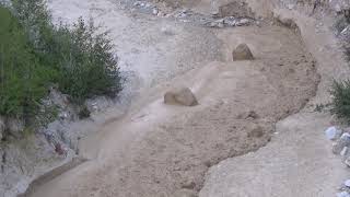 Illgraben 28 07 2020  Lave torrentielle Murgang Debris flow [upl. by Saxon]