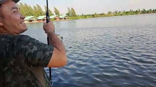 2023 Bungsamran Thailand Monster Mekong Cat Fishing Part 2 曼谷眉公鲶钓游 2 [upl. by Marelya771]