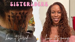 Sisterlocks Journey 10 Year Update Installation Hair Phases Retightening Routine Colour [upl. by Seko]