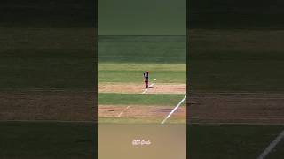 Incredible RunOut In Cricket Part2 💥 [upl. by Horne]