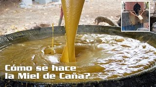 Cómo se hace la Miel de Caña Trapiche La Mariana [upl. by Elleval]