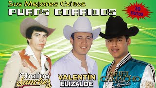 Valentín Elizalde Chalino Sanchez Ariel Camacho  Corridos Perrones Mix [upl. by Earleen]