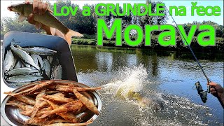 Morava🎣 recept  GRUNDLE 🍗 a naše rybářské dobrodružství🐟kapr sumec parma ouklej👑 [upl. by Ecinrahs]