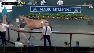 2020 Gold Coast Yearling Sale Day 1 Replay [upl. by Salb]