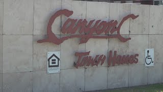 Canyon Creek Townhomes resident claims management wont solve mold problems [upl. by Ninos386]