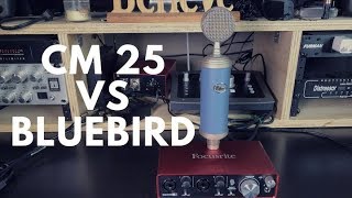 CM25 VS Bluebird microphone Rap vocal  Focusrite 2i2 [upl. by Uriel]