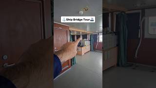 ⚓Ship Bridge Tour🚢 trending merchantnavy sailor ship bridge tour shortsviral shorts [upl. by Emersen46]