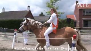 Ringrijden in Kapelle op 13 05 2017 [upl. by Elokin]