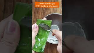 How to remove yellow liquid from Aloevera  100 pure aloevera gel at homeHow to make Aloevera gel [upl. by Nairrot818]