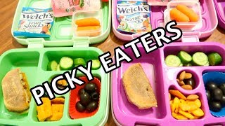 KIDS SCHOOL LUNCH IDEAS FOR MY PICKY EATERS K7 I sent ice cream [upl. by Eniluqaj]