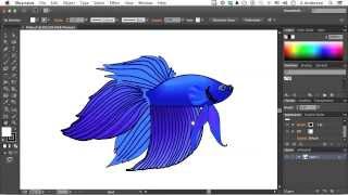 Adobe Illustrator CC Tutorial  Creating Multiple Views [upl. by Suivatnad]