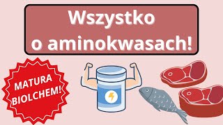 Wszystko o aminokwasach dla biolchema 😎 [upl. by Nyrak]