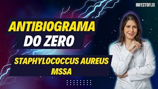 Dominando Antibiogramas do Zero  Staphylococcus aureus MSSA [upl. by Nomar]