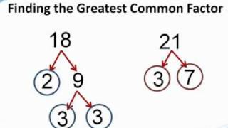 How to find the greatest common factor  from TutaPointcom [upl. by Pampuch]