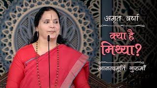 क्या है मिथ्या  AV Epi 2401  Daily Satsang  14th September 2024  Anandmurti Gurumaa [upl. by Aryek]