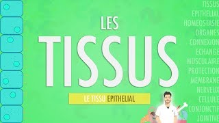 LES TISSUS LE TISSU EPITHELIAL Partie 1 [upl. by Arej]