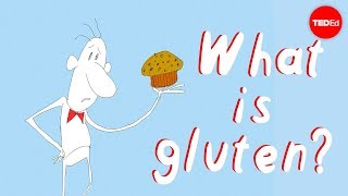 What’s the big deal with gluten  William D Chey [upl. by Erdnuaed]