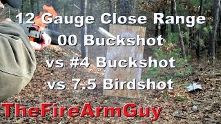 12 Gauge Shot Pattern amp Penetration 00 Buckshot vs 4 Buckshot vs 75 Birdshot  TheFireArmGuy [upl. by Enileqcaj48]