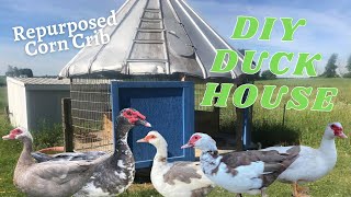 DIY Duck House for Muscovy Ducks Repurposed Old Corn Crib [upl. by Enahpets]