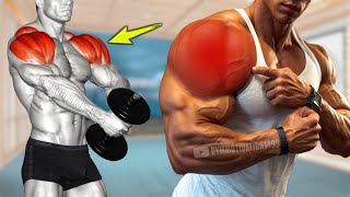 6 Fastest Effective Shoulder Exercises [upl. by Ainar758]