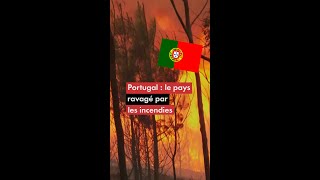 Portugal  le pays ravagé par les incendies [upl. by Aicitan]