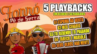 PACOTE 5 PLAYBACK FORRO PE DE SERRA [upl. by Eenor32]