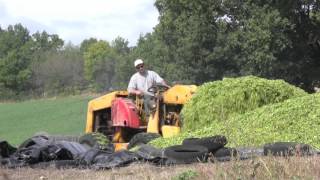 Ensilage Route et Silo avec Michigan [upl. by Acceber]