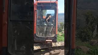 excavator training [upl. by Arten]