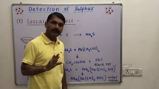 Detection of Sulphur  Qualitative Analysis [upl. by Champagne]