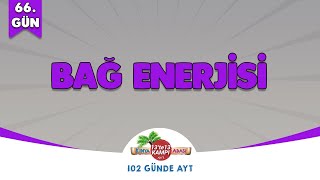 📌66GÜN l Bağ Enerjisi🤓 Kimya Adası aytkimya [upl. by Coffeng]