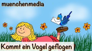 🎵 Kommt ein Vogel geflogen  Kinderlieder deutsch  Frühlingslied  muenchenmedia [upl. by Ttenaj964]