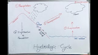 Hydrological Cycle Hindi Lecture I Water Cycle [upl. by Ahsinnor]