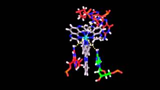 Oneelectron photooxidation of guanine in DNA crystals by TRIR with a lambda ruthenium complex [upl. by Aihsal240]