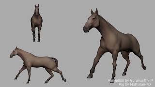 Horse gaits Canter amp Gallop Animation Test [upl. by Alac959]