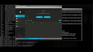 Bitnet IO with Quantum framework hopefully soon prototype video 07222024 [upl. by Kcirdehs963]