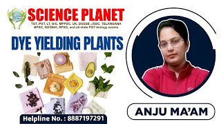 DYE YIELDING PLANT II BY ANJU MAM II SCIENCE PLANET II [upl. by Tenay]