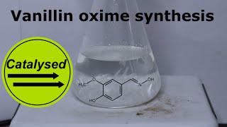 Testing my hydroxylamine  Synthesis of Vanillin oxime [upl. by Giardap403]