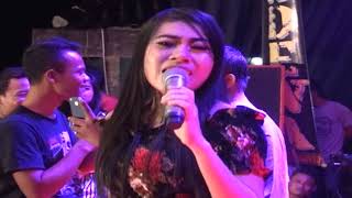 DIGILIR CINTA  SHANTY MUTIARA  SHADEWA Live Sumberejo [upl. by Haldeman]