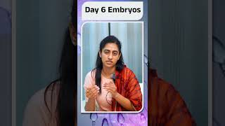 Day 6 ఎంబ్రియో అంటే ఏమిటి  About Day 6 Emryos Explained  Avni Fertility Andrology [upl. by Nosauq]